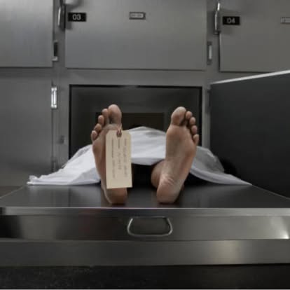 ما بعد الموت … الحلقة المؤجلة