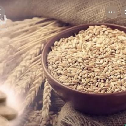 زكاة الفطر… “طلعات”